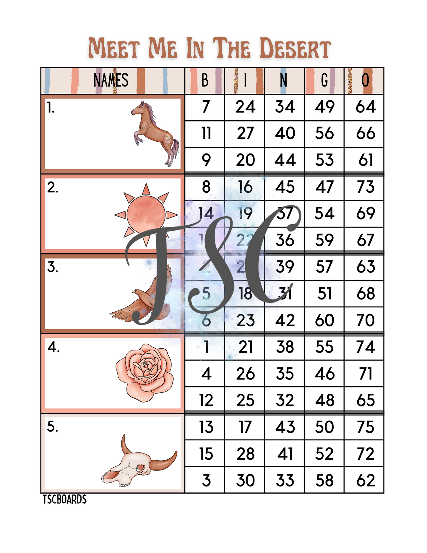 Meet Me In The Desert Bingo Board 1-75 Ball
