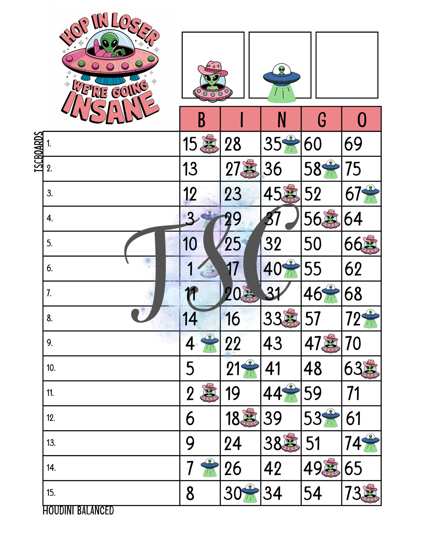 Hop In We’re Going Insane Bingo Board 1-75 Ball