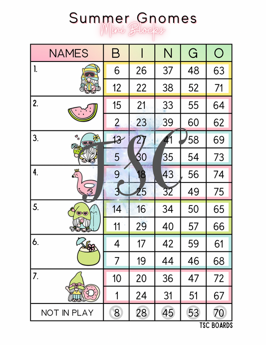 Summer Gnomes Mini Blocks Bingo Board 1-75 Ball