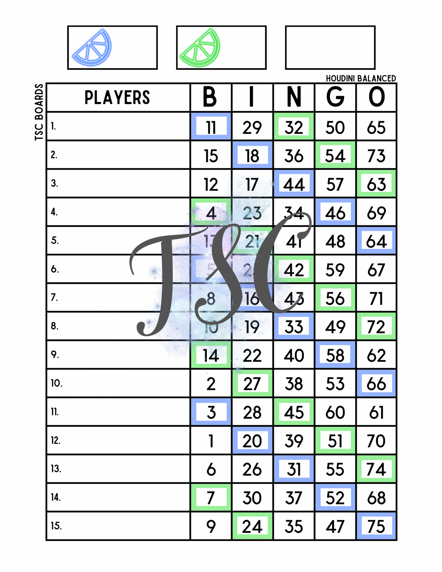 Orange Slice Two Colour Bingo Board 1-75 Ball 1-15 Line