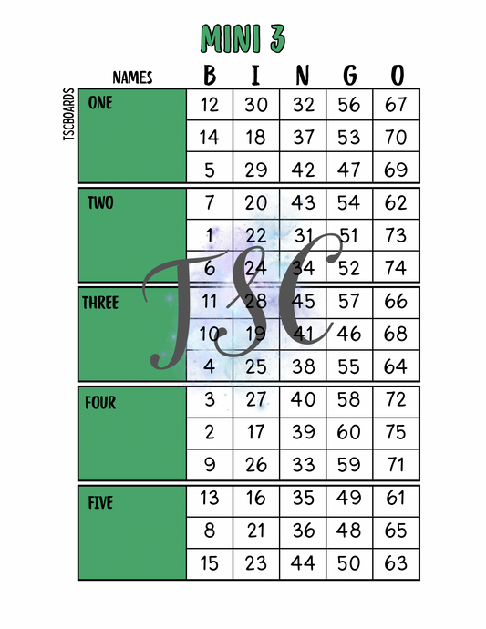Mini 3 Green Block Bingo Board 1-75 Ball