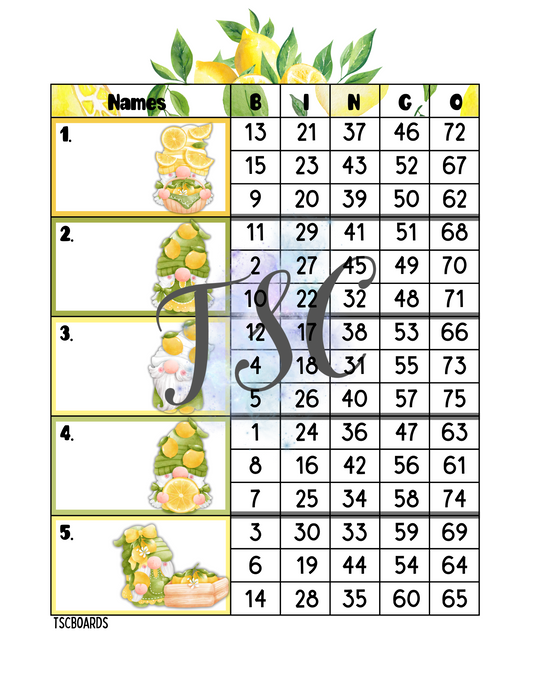 Lemon Gnomes Block Bingo Board 1-75 Ball