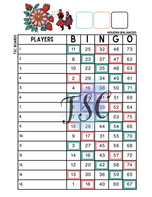 Indigenous 2 Colour Board 1-75 Ball 1-15 Lines