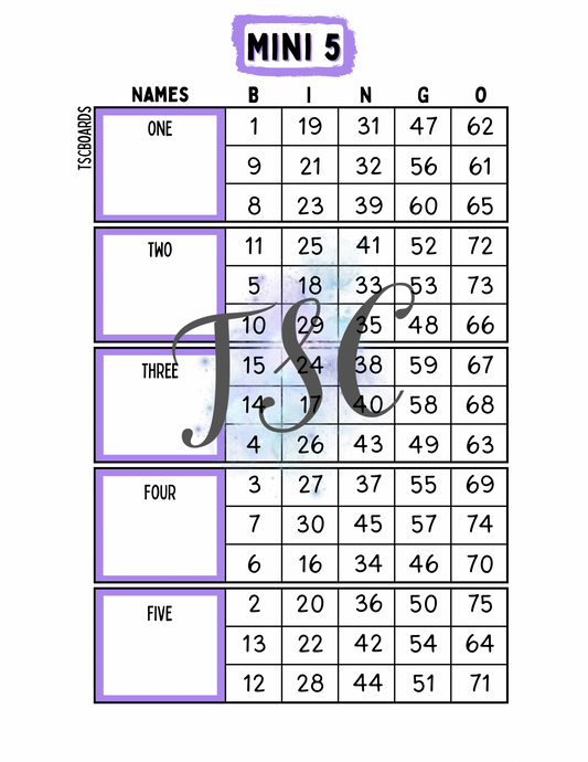 Block Mini 5 Bingo Board 1-75 Ball