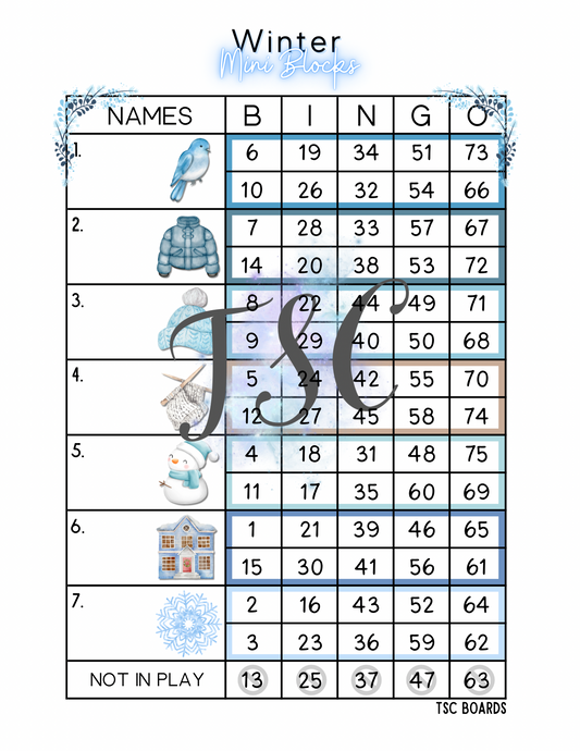 Winter Mini Blocks Bingo Board 1-75 Ball