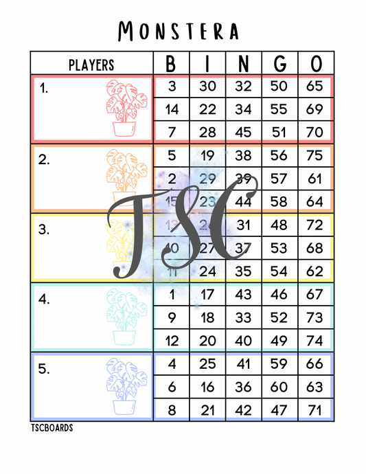 Monstera Rainbow Block Bingo Board 1-75 Ball