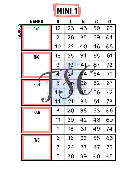 Block Mini 1 Bingo Board 1-75 Ball