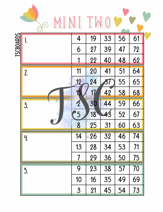 Rainbow Mini 2 Block Bingo Board 1-75 Ball