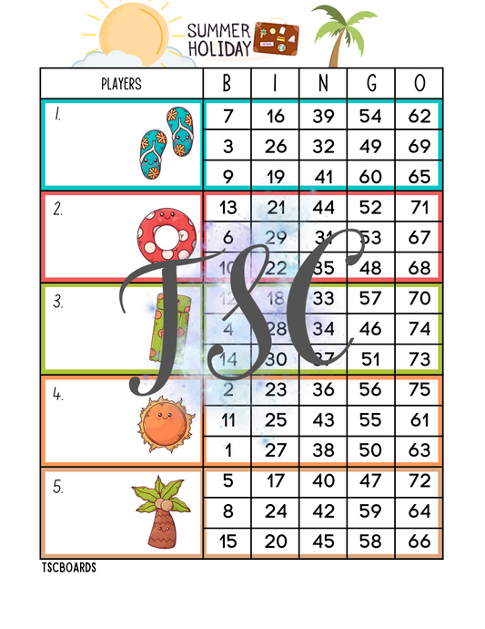 Summer Holiday Block Bingo Board 1-75 Ball